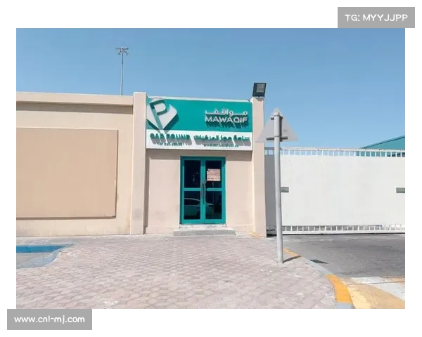 轮胎新规影响:阿布扎比站可能出现的三停策略 轮胎新规影响:阿布扎比站可能出现的三停策略